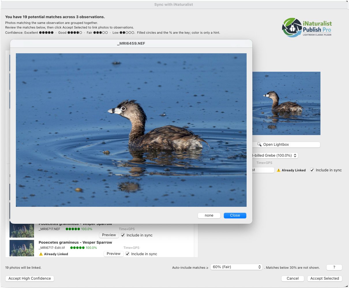 iNat Publish Pro - Image 3