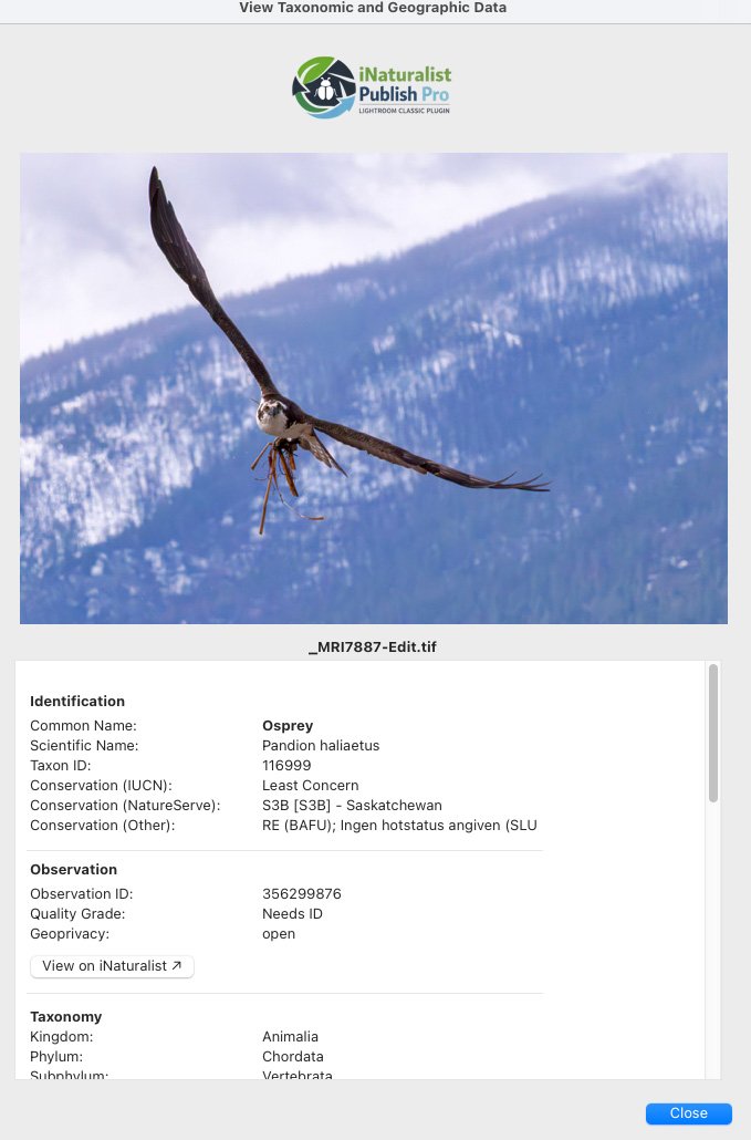 iNat Publish Pro - Image 8