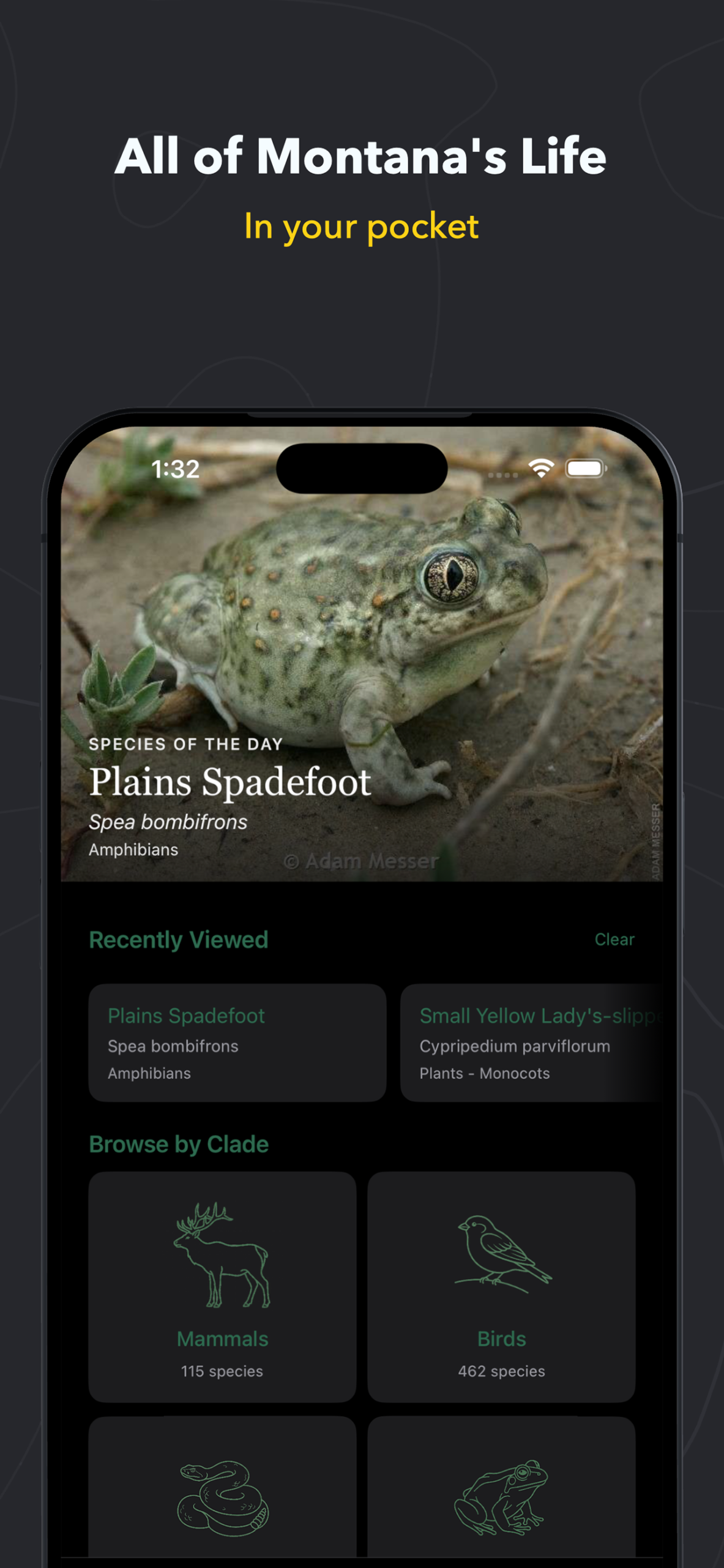 App screenshot 1