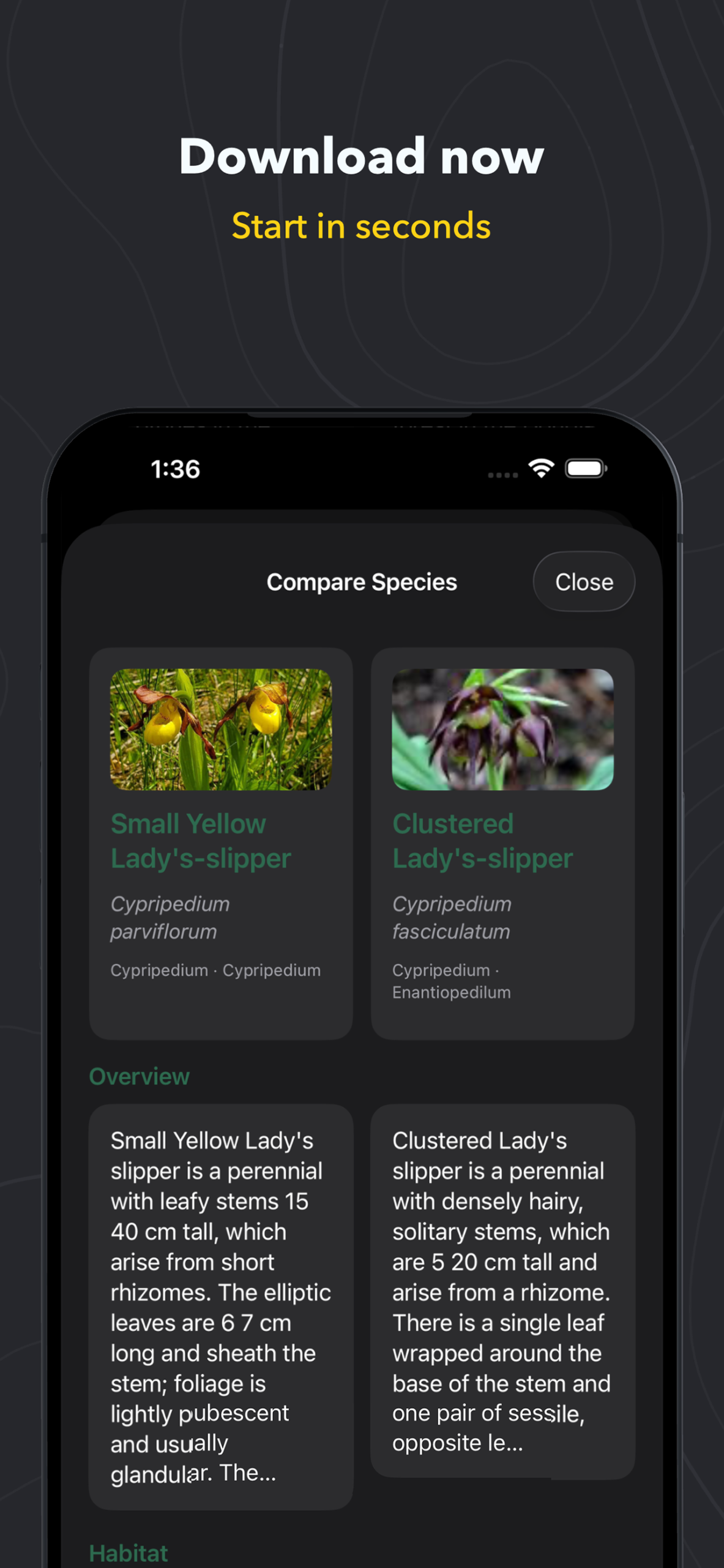 App screenshot 10