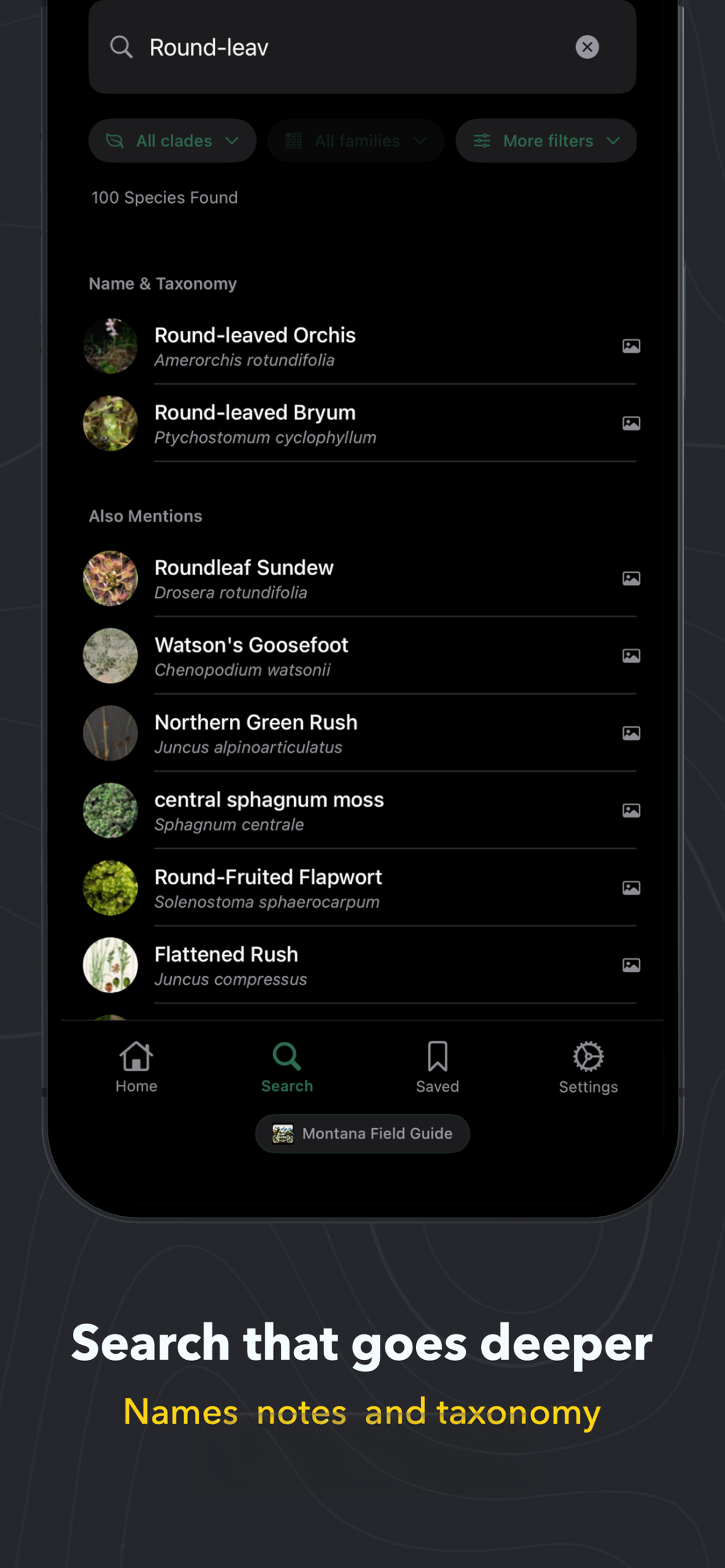 App screenshot 2
