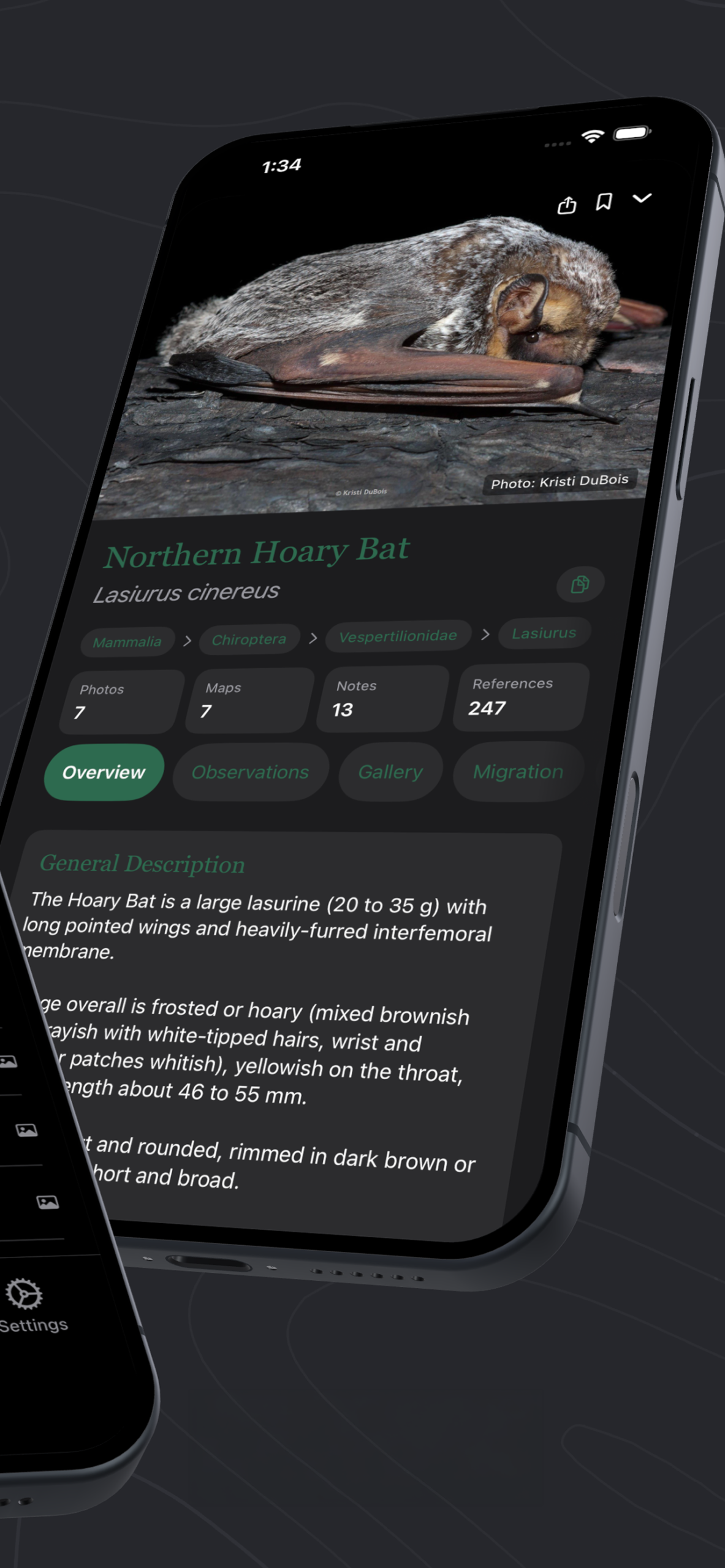 App screenshot 4