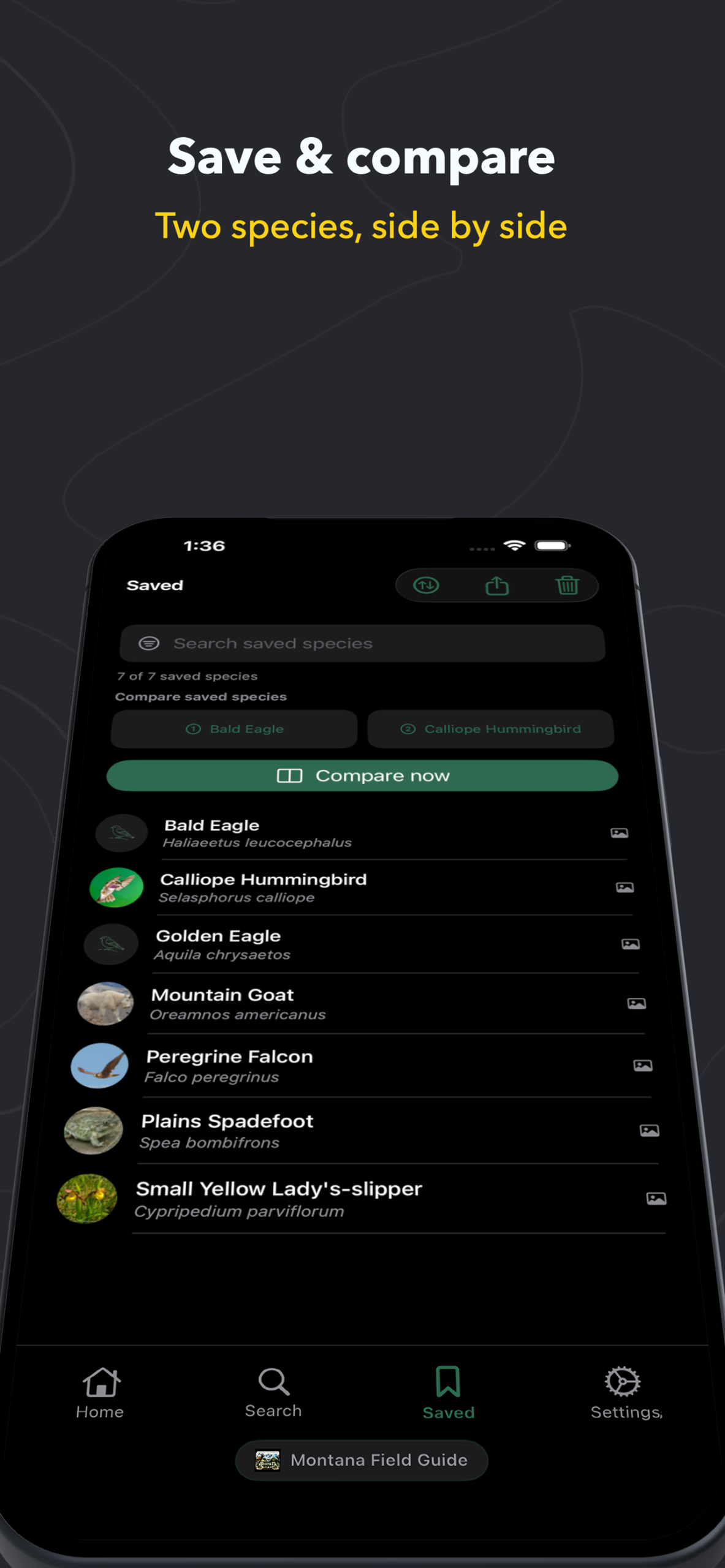 App screenshot 9