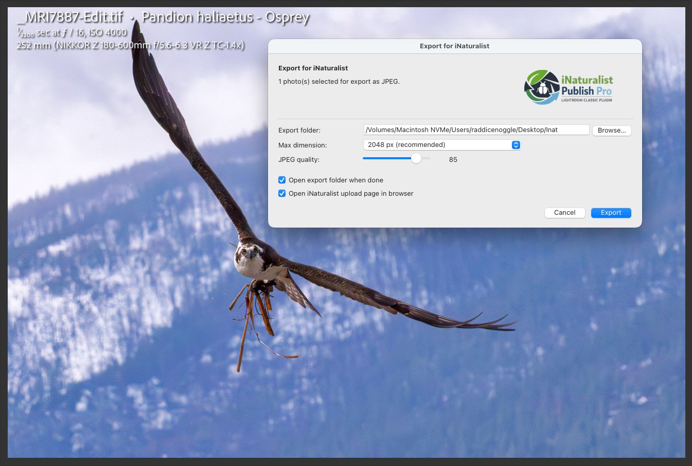 Export for iNaturalist dialog with JPEG and upload settings.