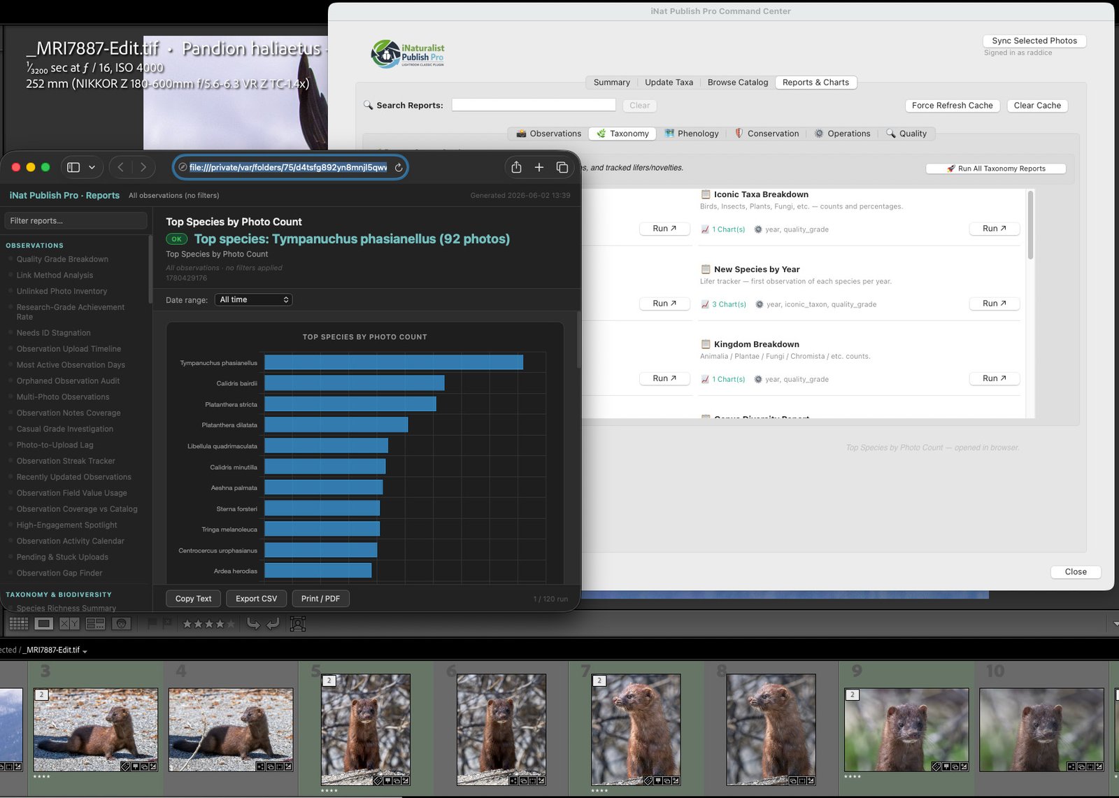 Reports and Charts interface with taxonomy reports and visual chart output.