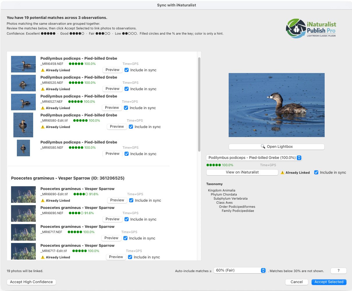 Sync with iNaturalist review window showing potential matches and confidence scores.