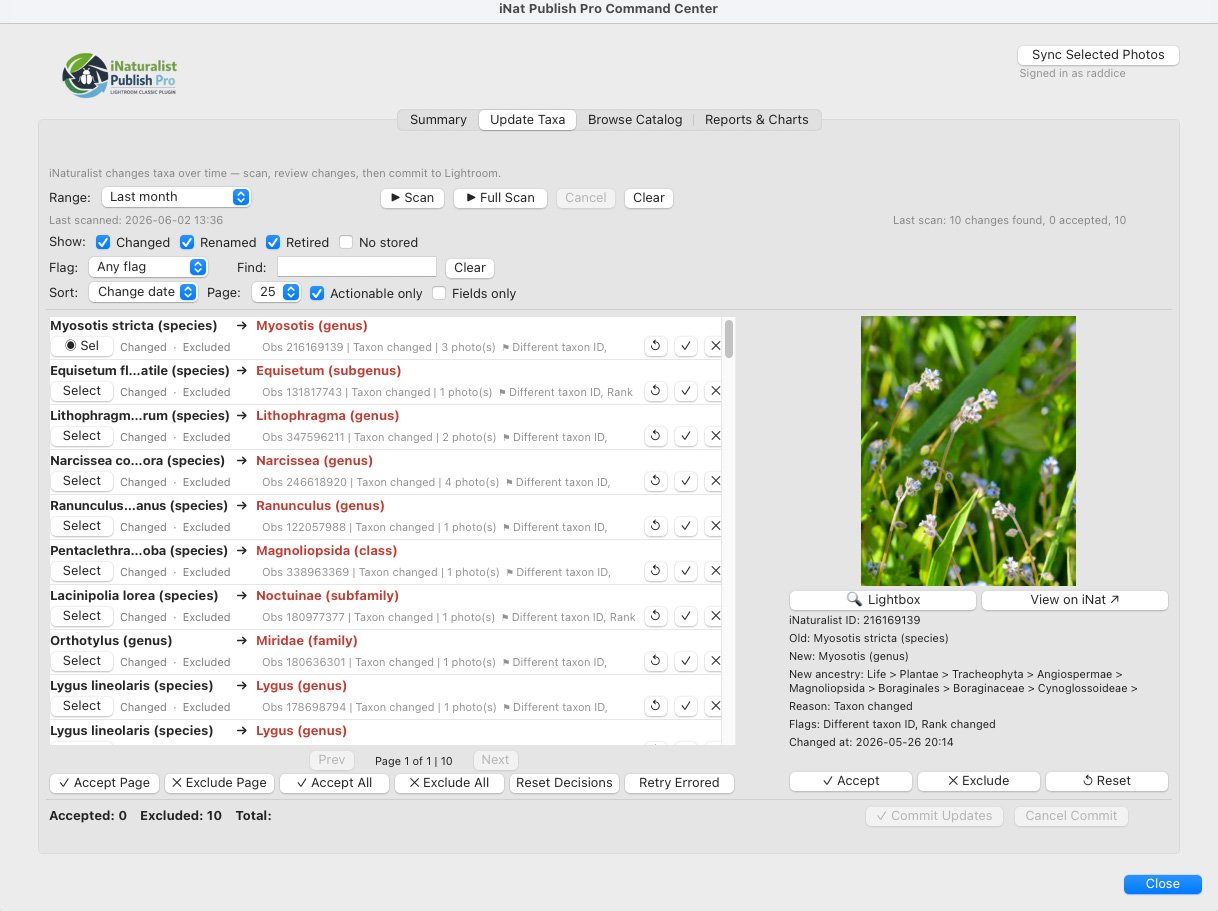 Update Taxa tab showing renamed and retired taxa decisions.
