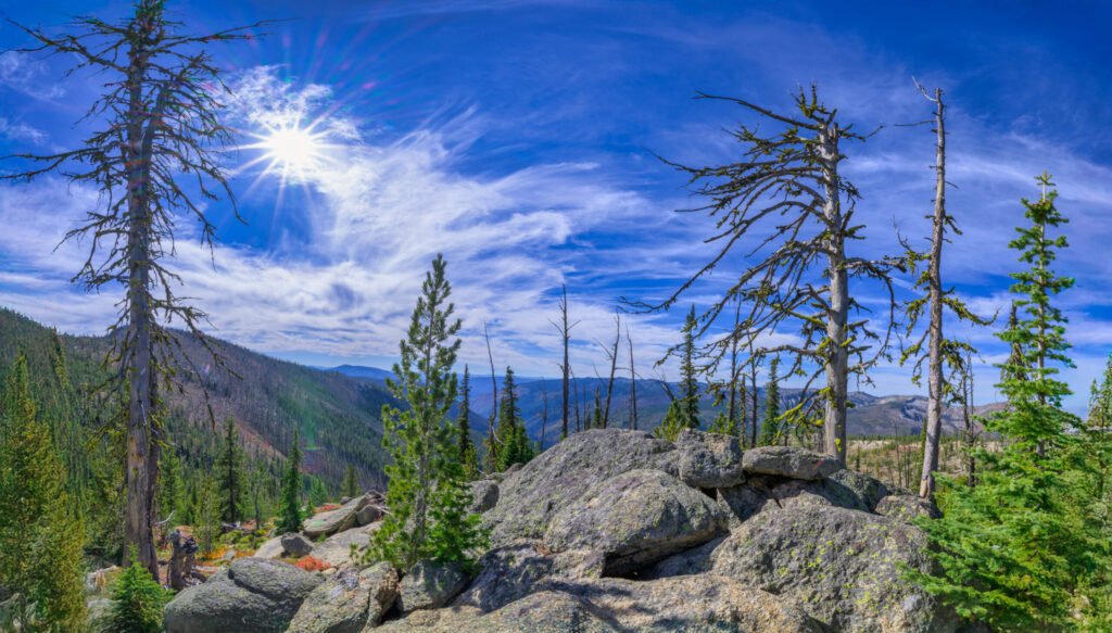 Large weathered granite boulders on a high ridge with dead and living conifers and the sun flaring in a blue sky